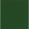 Gloss Green - Collection Gloss Colors - Marque Mainzu