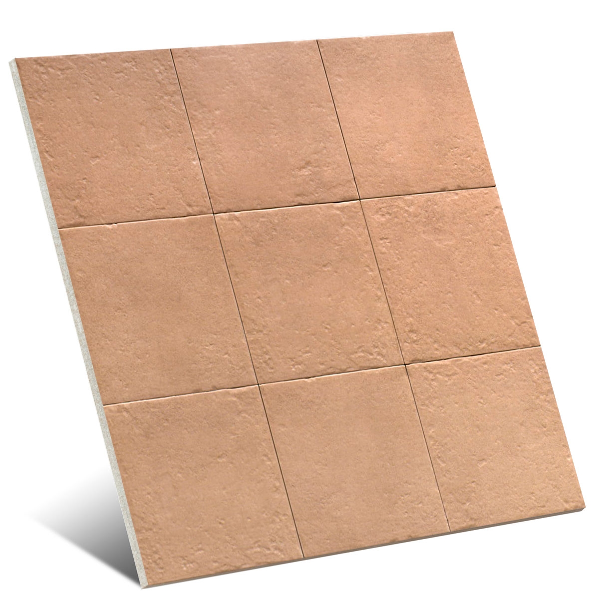 Canem Terra Canem Season 20x20