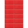 Bissel Red gloss 10x20 (m2)