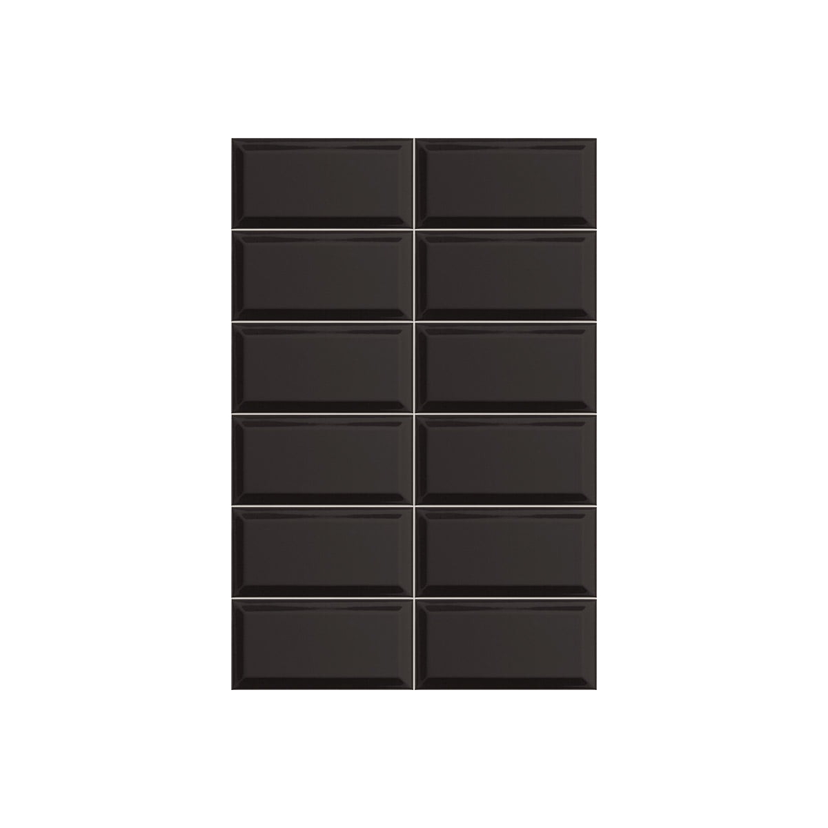 Bissel Preto brilhante 10x20 (m2)