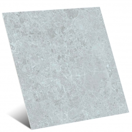 Charisma Gris 100x100 (Boîte 1,98 m2)