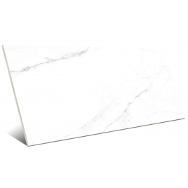 Verona White 45×90 (Box 1.2m2)
