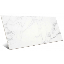 Sabine Blanc 60x120 (Carton de 1.4042m2)