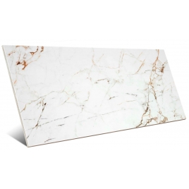 Aster Blanc 60x120 (Boîte 1.40m2)