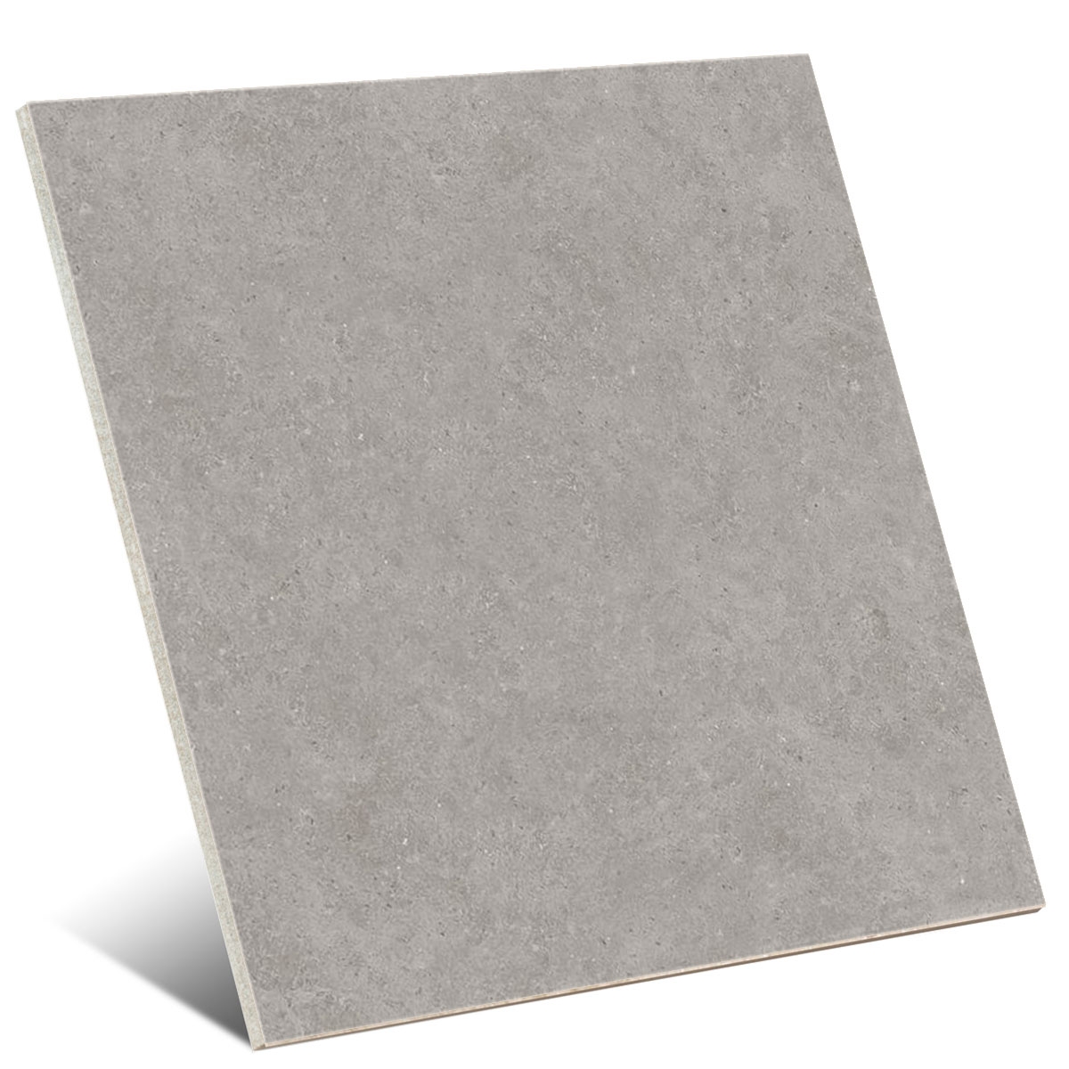 Ulisse P.E Gris 100x100 (Boîte 1.92m2)