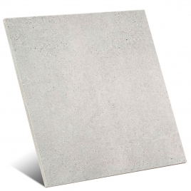 Homestone P.E Grey InOut 60x60 (Caja 1,41m2)