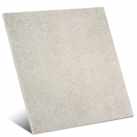 Homestone P.E Argent  InOut 60x60 (Caja de 1,41m2)