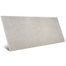 Homestone P.E Gris InOut 60x120 (Boîte 1.42m2)