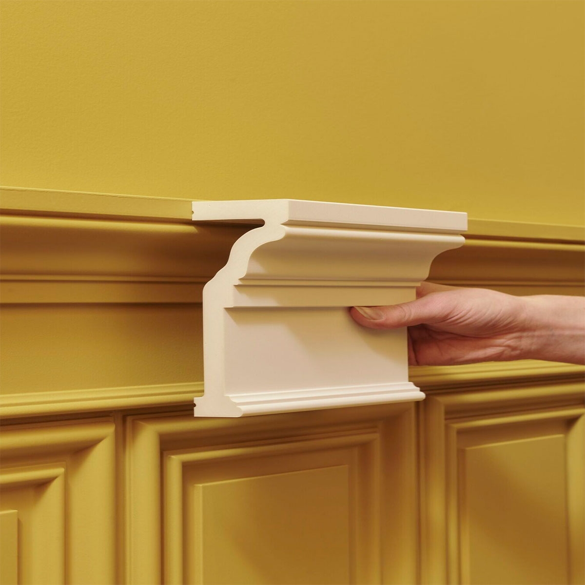 Interior with Molding P4010 2000 x 55 x 145