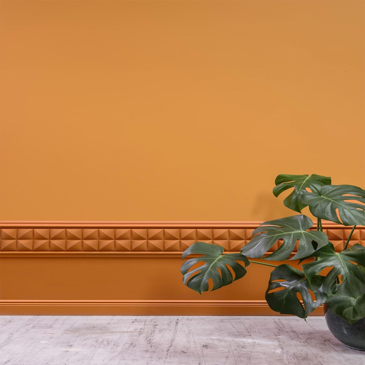 Environment with Baseboard SX195 2000 x 19 x 80