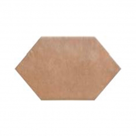 Fès Flèche Cotto Mate 10x20 (Boîte 0.33 m2)
