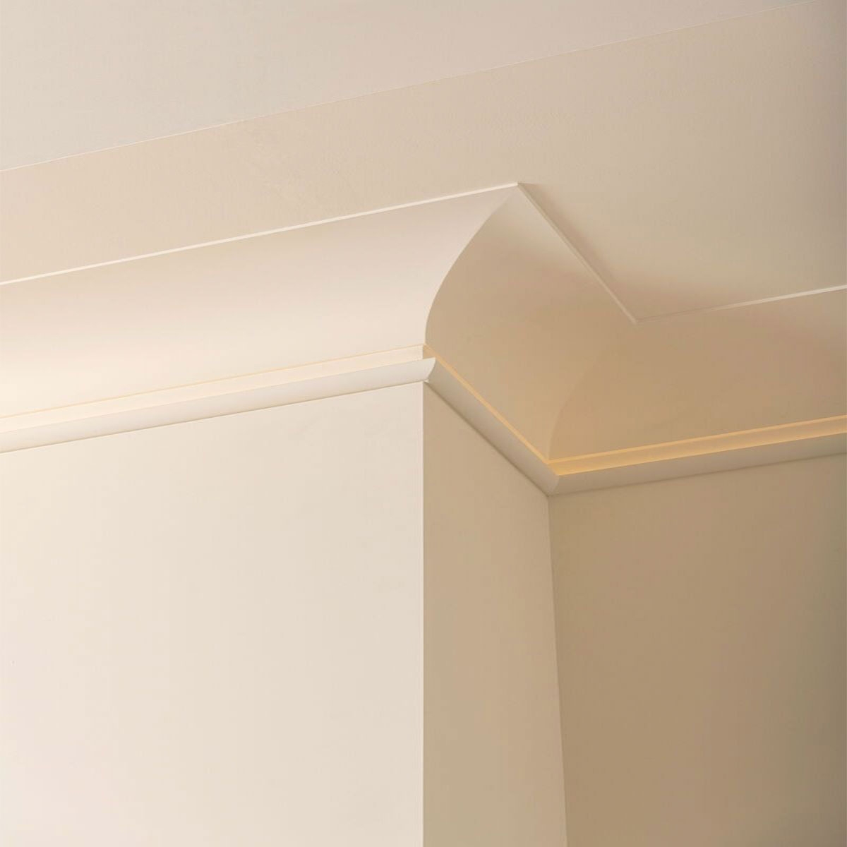 Room with Cornice C990 2000 x 216 x 159