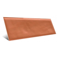 Liverpool Clay 5x15 (Box 0.495 m2)