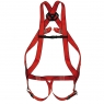 2-Point Fall Arrest Harness