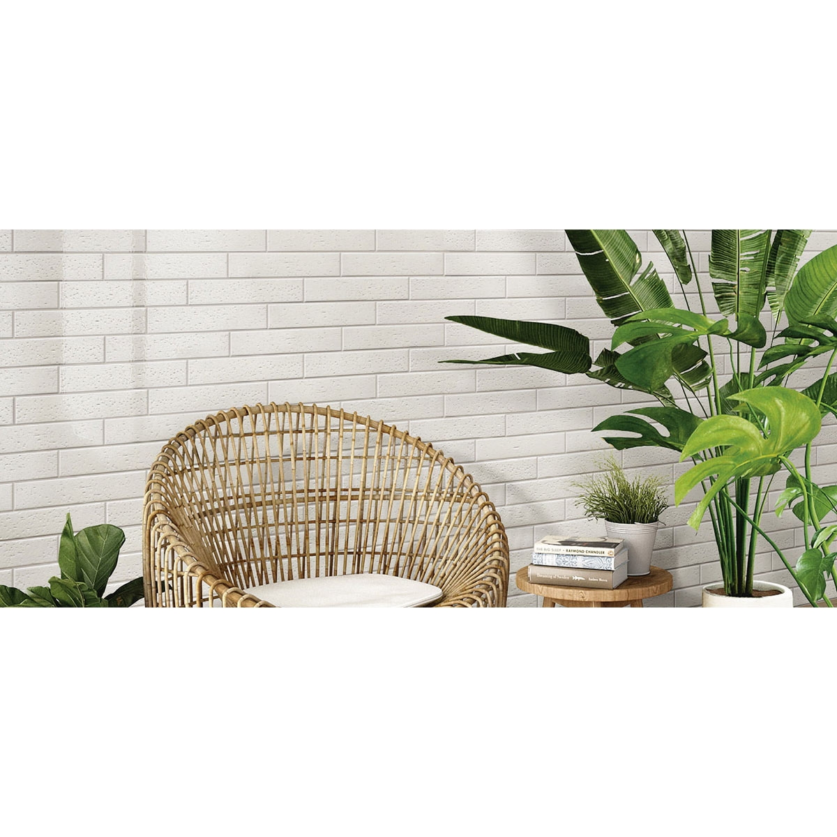 Exterior con Revestimiento Muretto Bianco 5x25