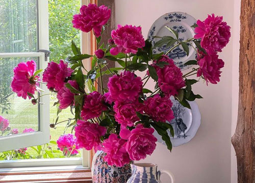 instagram mieketenhave 2