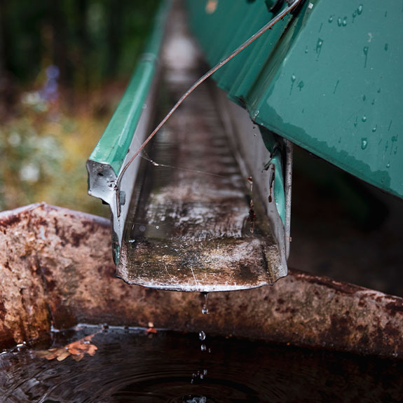 nettoyage des gouttières
