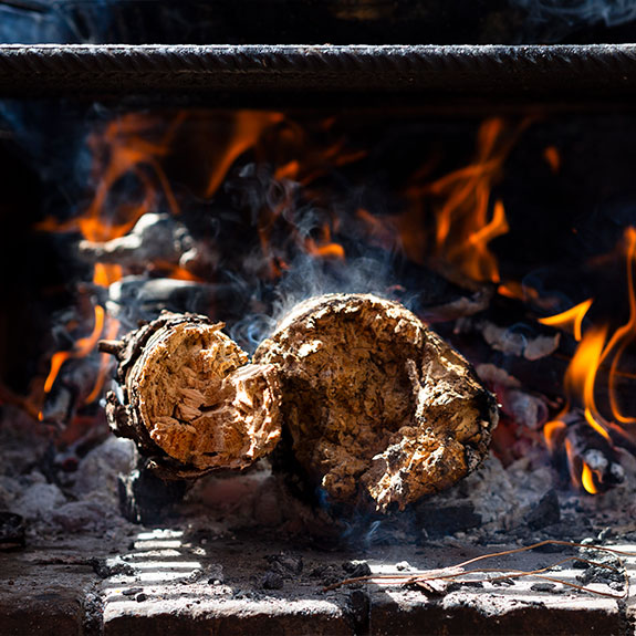 colocacion troncos bbq