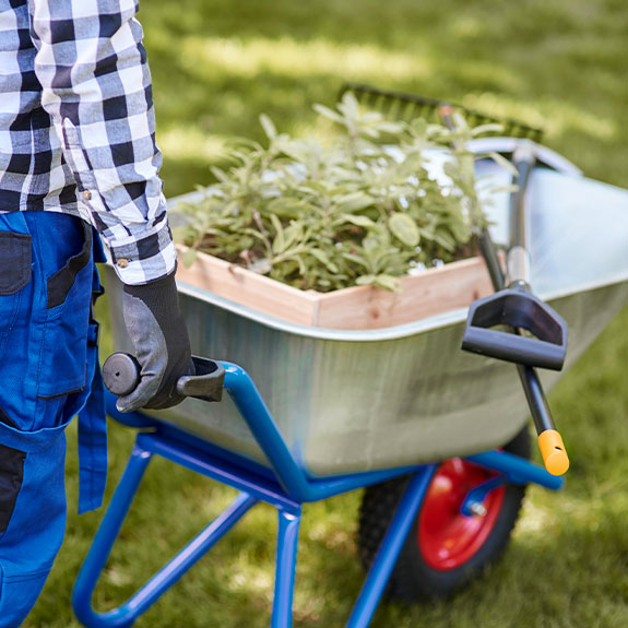 mantener el jardín en otoño