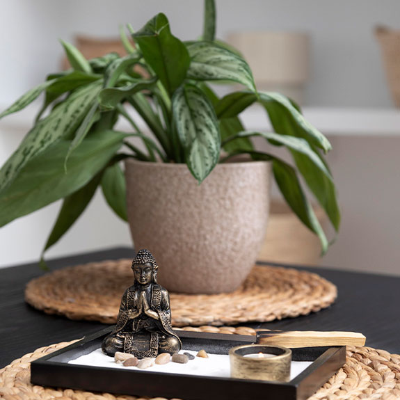 Cómo dejar tu casa lista para comenzar el año con buena energía y funcionalidad 4 Elementos naturales