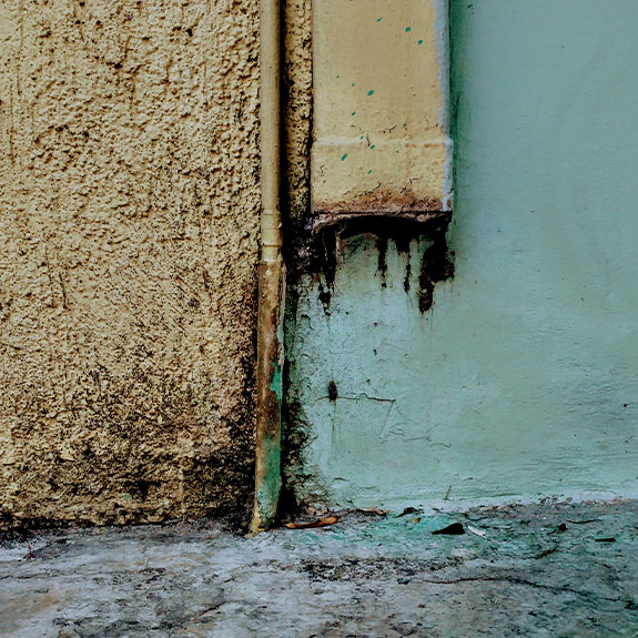 Humedades del canalon