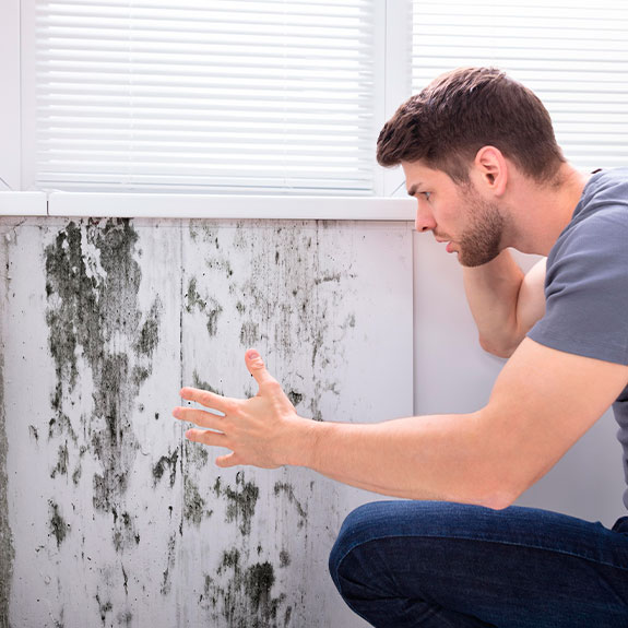 identificar fuente de humedad