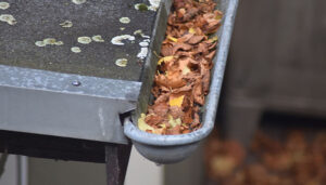 canalon lleno de suciedad