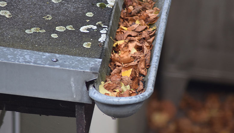 canalon lleno de suciedad