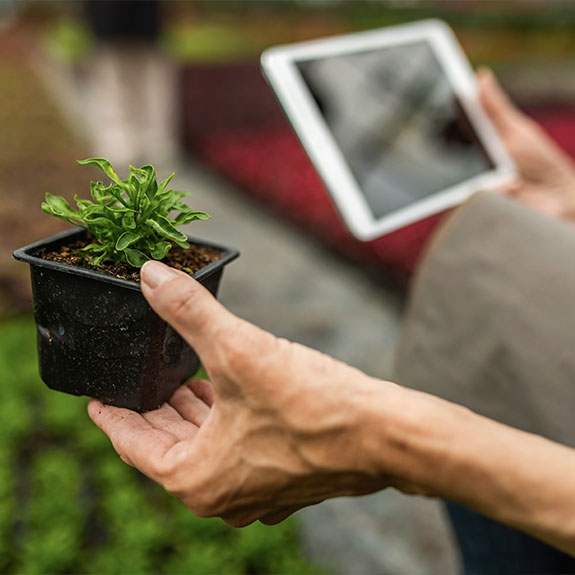 Elementos que aumentan el valor de una vivienda 4 tecnologías sostenibles
