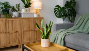 Mejorar la estética del hogar