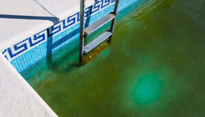 Piscina con mucha alga