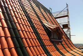 Talón 50/45 TejasBorja