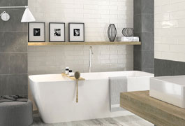 Colección Monocroma De APE