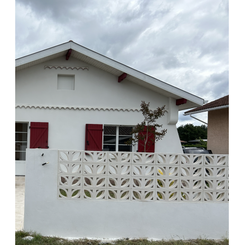 Asi queda el Celosía Ficus (Precio por unidad)